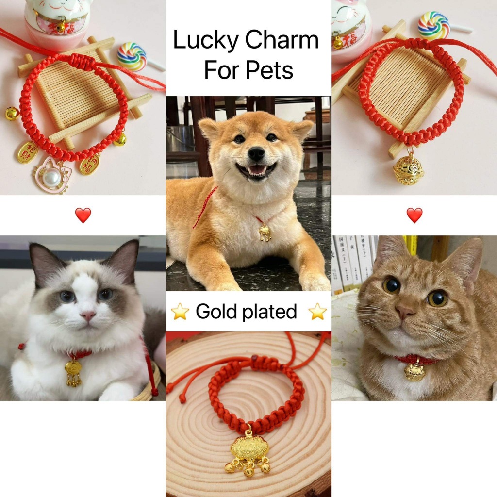 Pet collar lucky charm cat collar dog collar gold plating adjustable  handcrafted knit collar bell