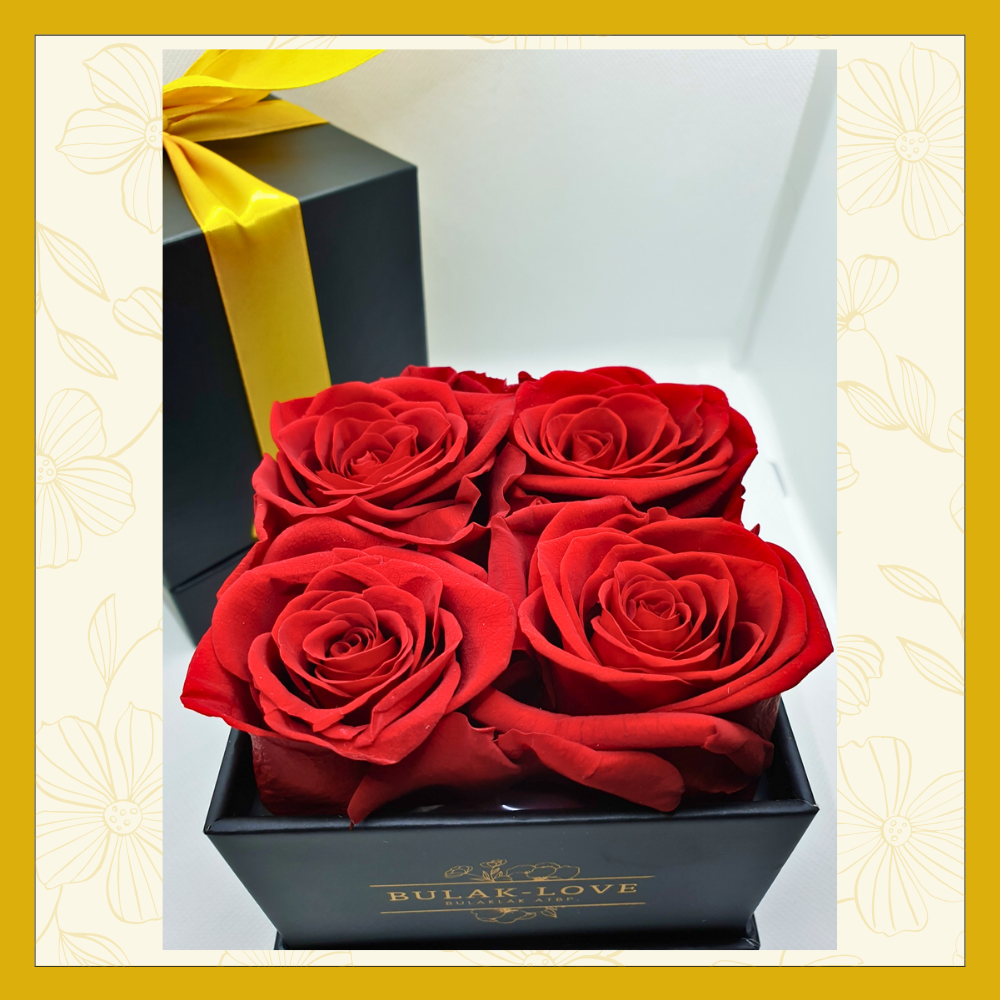4PC PRESERVED FLOWERS REAL ROSES (supple petals, not dry) Shopee