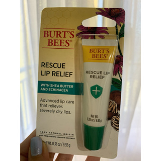 Burts Bees Advanced Relief Lip Repair - Shea Butter and Echinacea