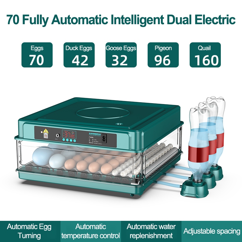 Automatic home smallscale incubator Automatic temperature control