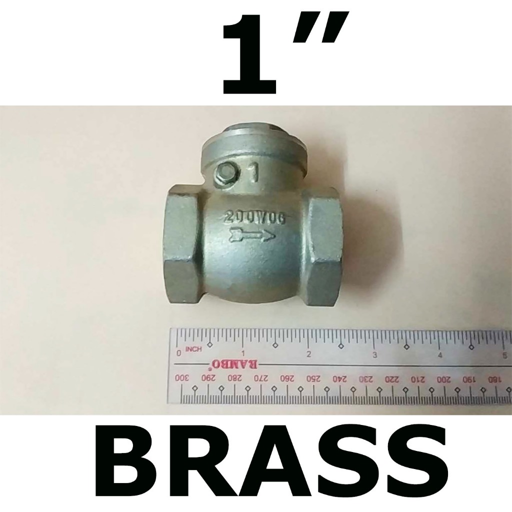 BRASS CHECK VALVE 1