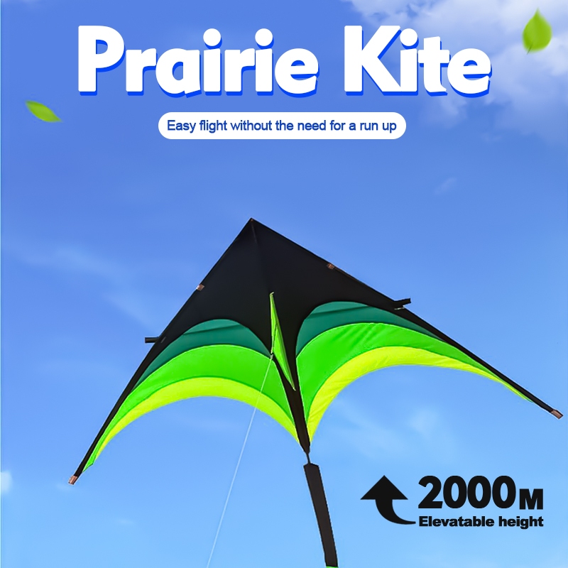 Prairie Kite Long tail rainbow kite with kite string 50m Outdoor beach ...