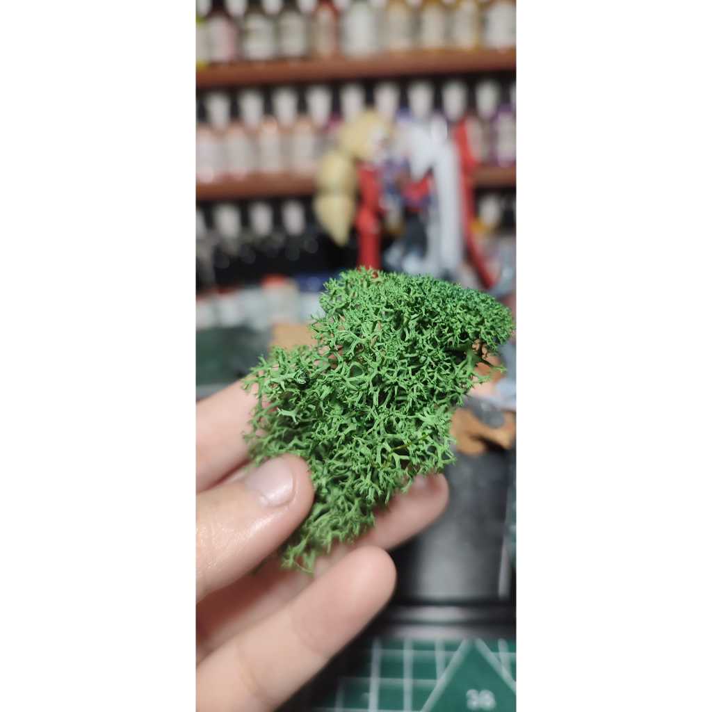 Lichen for miniature bushes and foliages diorama shopee philippines