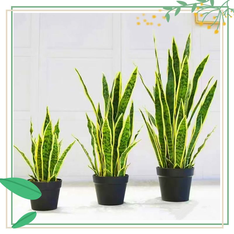 3D Agave Artificial Plants Snake Plants Fake Sansevieria Leaves living ...