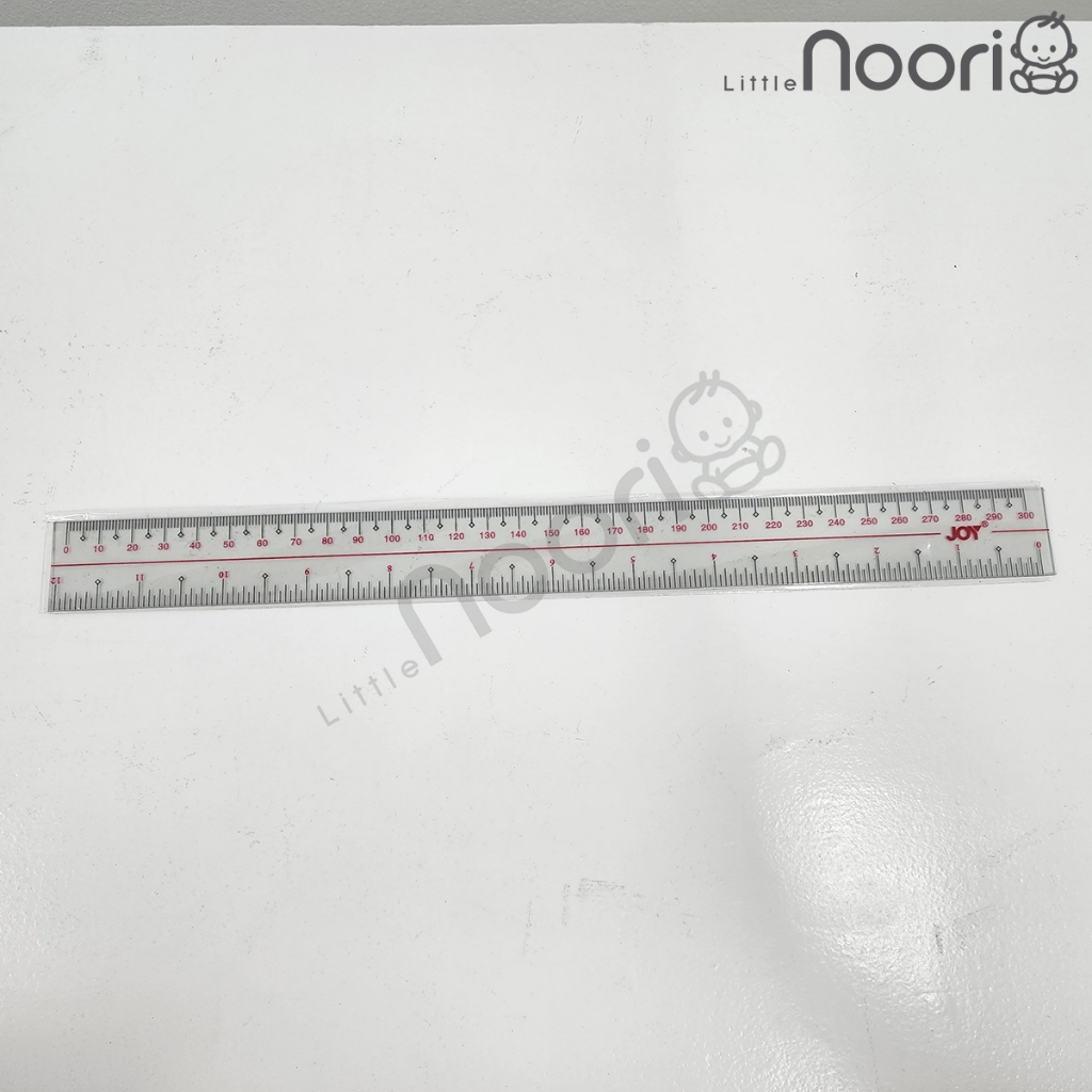 JOY PLASTIC RULER 12INCHES | Shopee Philippines
