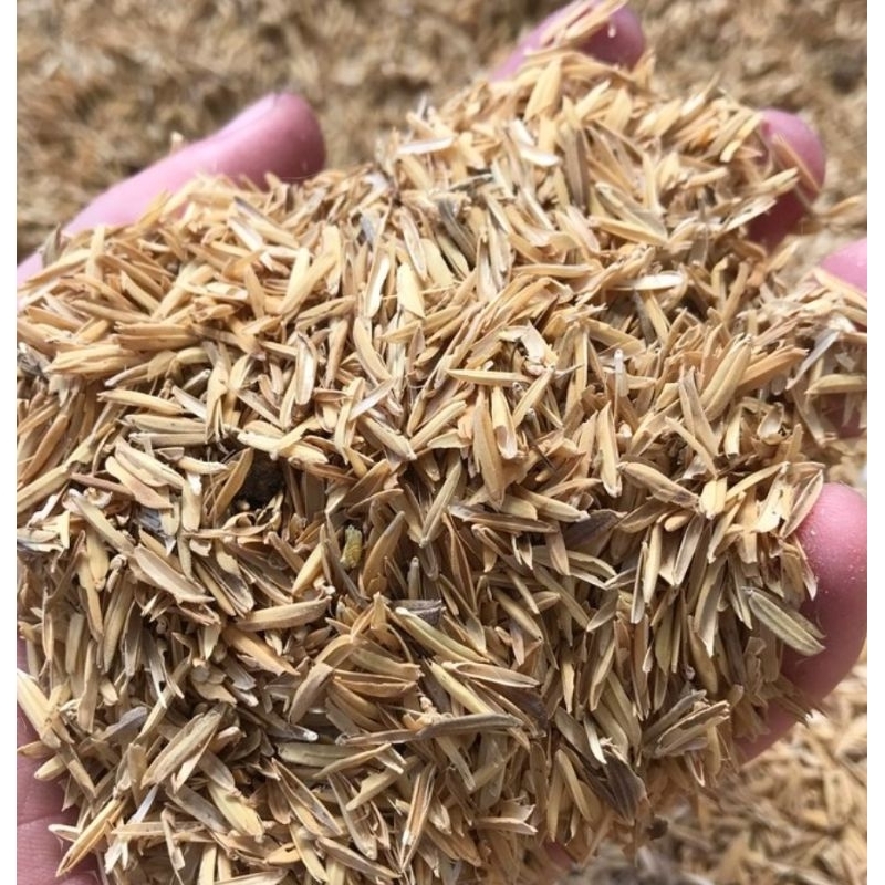 Rice Hull/ Rice Hulls/ Ipa/ Organic Fertilizer and Soil | Shopee ...