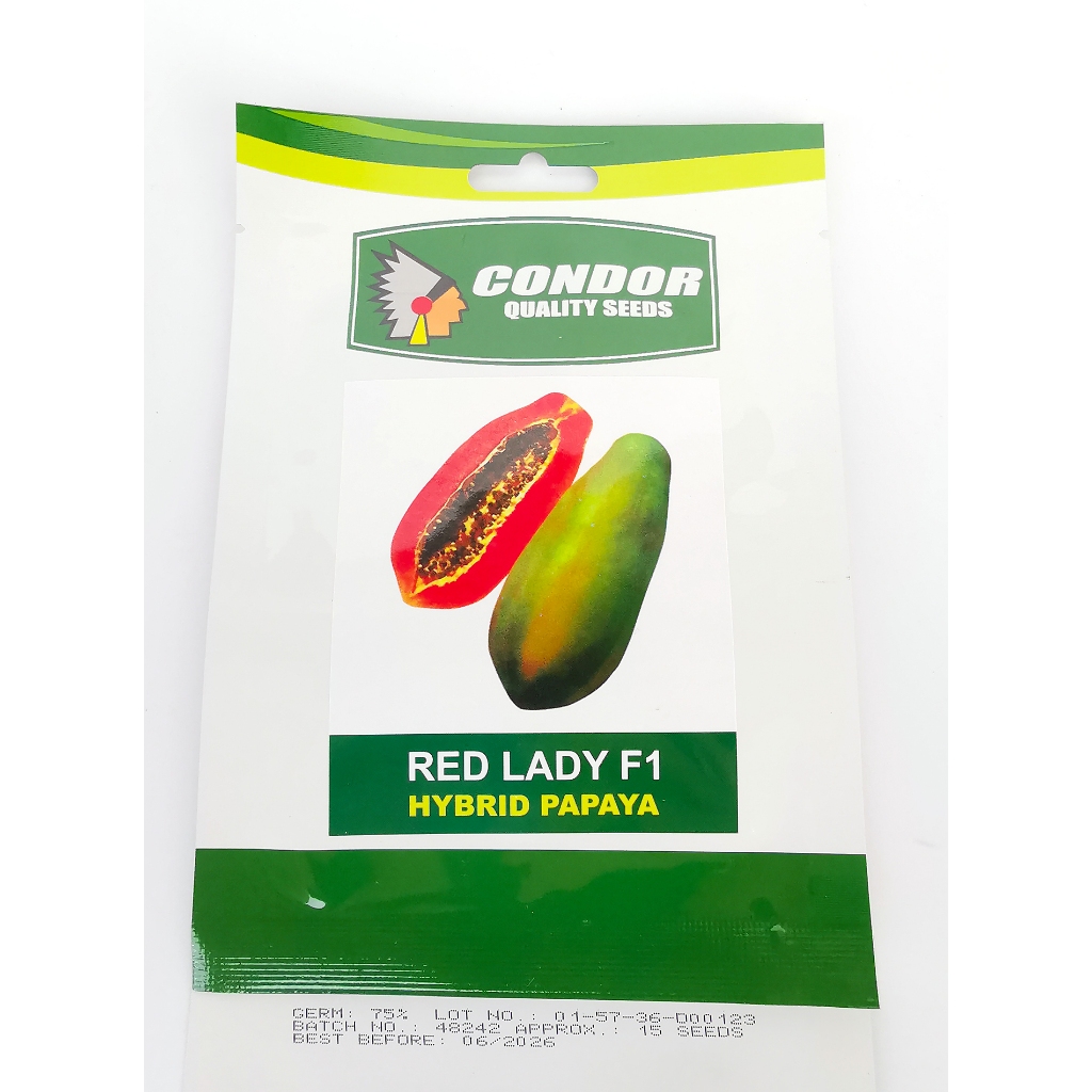 Condor Red Lady F1 Hybrid Papaya (15 seeds) | Shopee Philippines