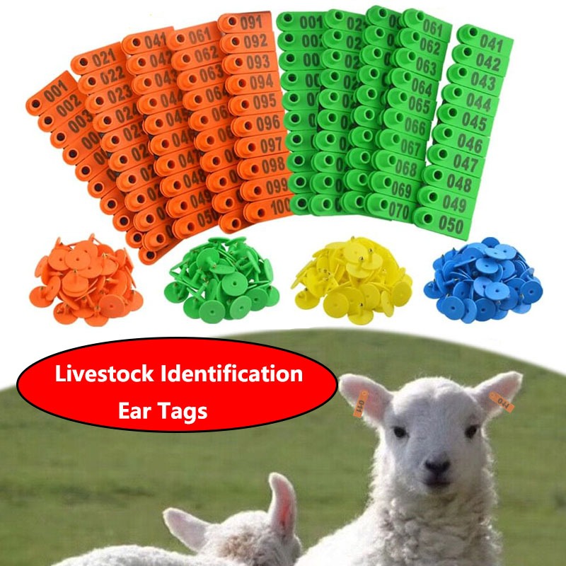 Shop ear tags for Sale on Shopee Philippines
