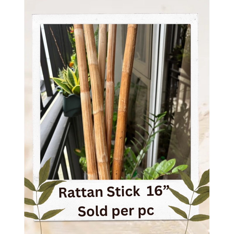 Rattan Stick 16” For craft making projects Sold per pc | Shopee Philippines