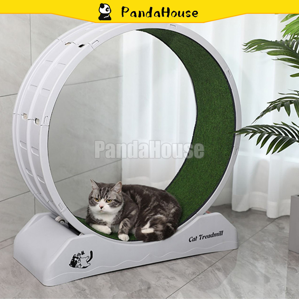 Cat Treadmill Silent Cat Running Wheel Exercise and Fitness Equipment ...