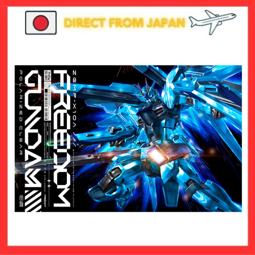HG 1/144 Freedom GunDam [Polarized Clear] Plastic Model + FREEDOM ...