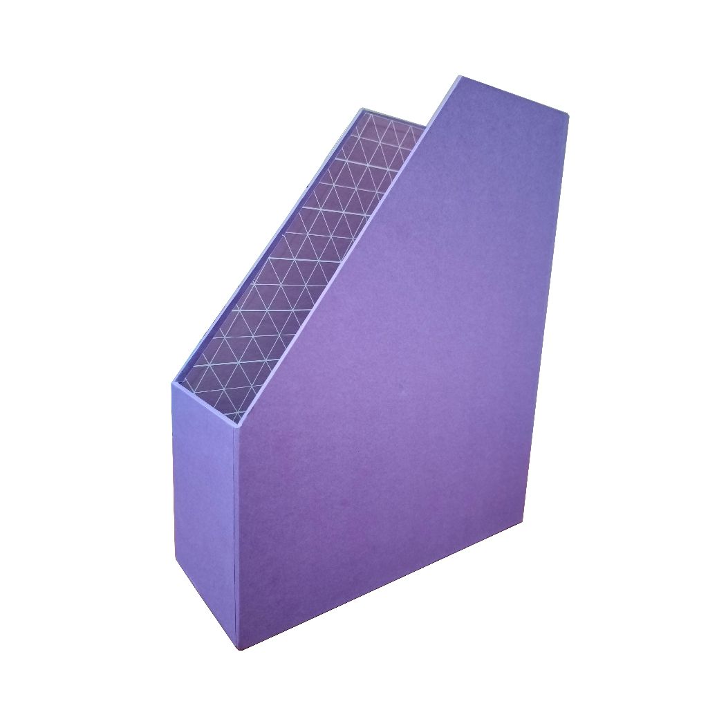 Magazine File Holder, Neon | Shopee Philippines