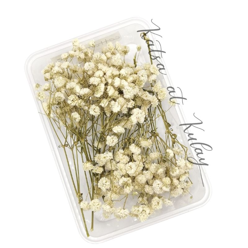 Gypsophila Flower Dried And Preserved Shopee Philippines