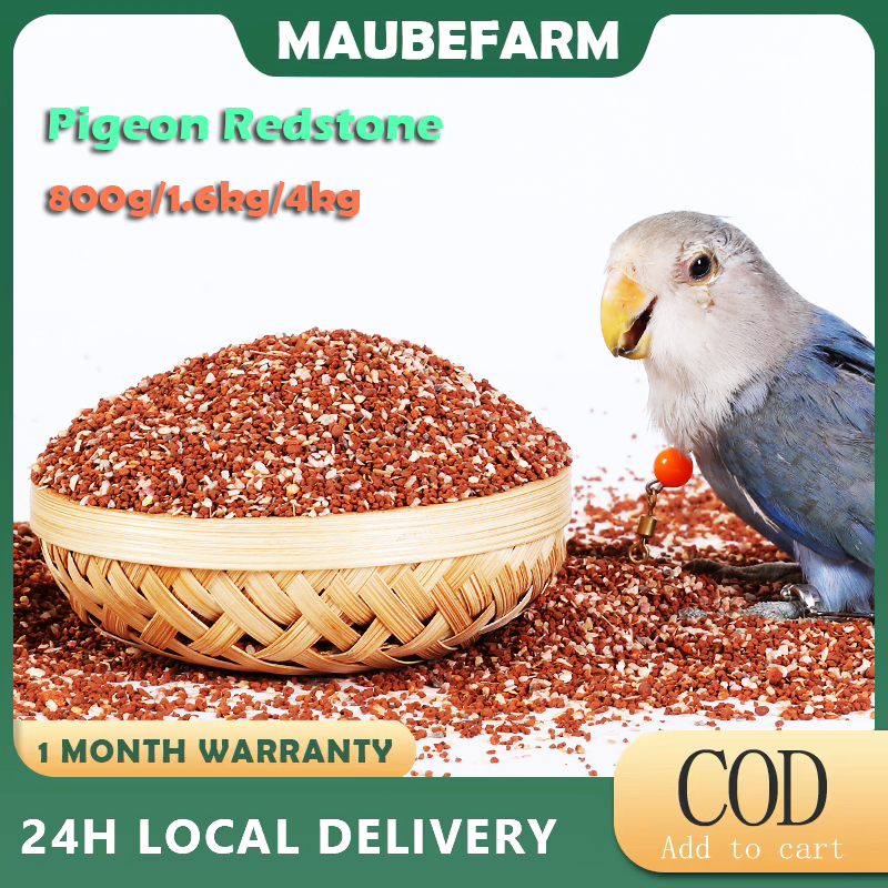 800g/1.6kg/4kg Natural Redstone Parrot Red Clay Mineral Grit Pigeon