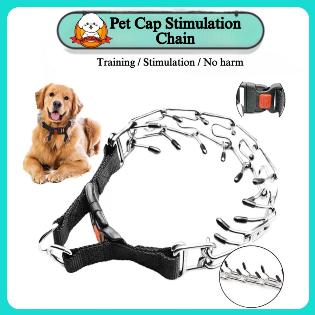 Prong Collar How To Properly Train With A Shock Collar Dog Pinch