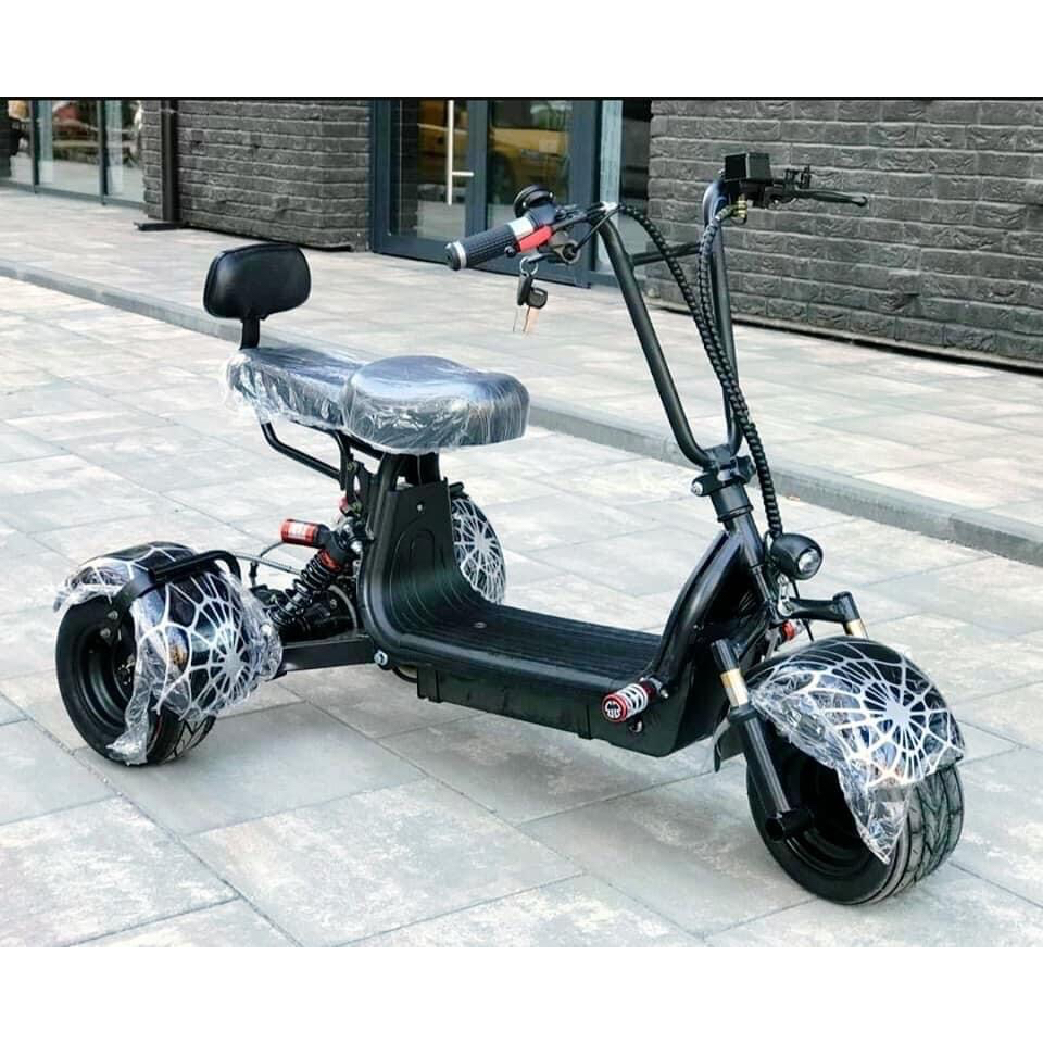 Electric Tricycle Adults 3 Wheel Tricycles Citycoco Electric Scooter