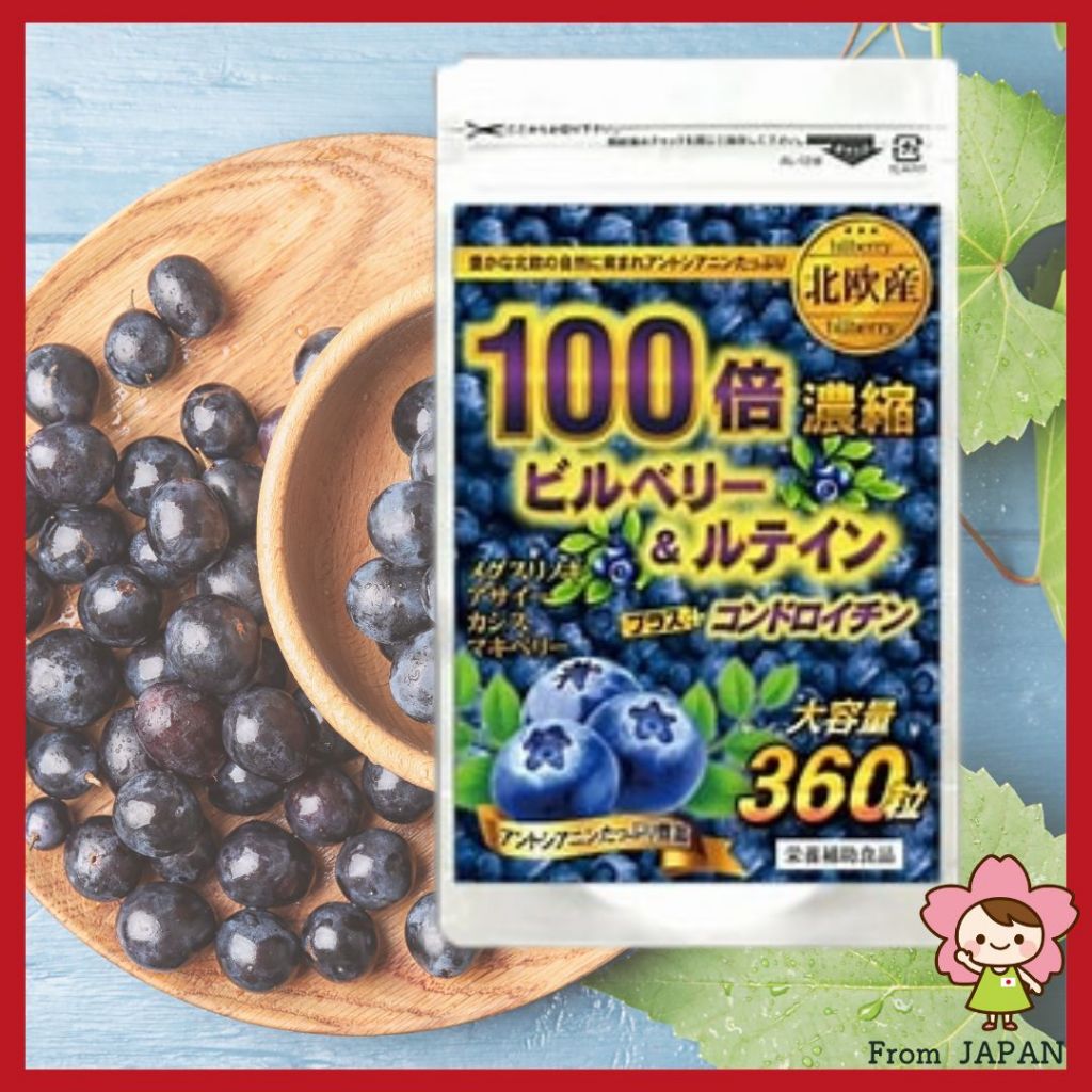 Bilberry & Lutein Supplement PLUS Chondroitin (360 Tablets/For 4 months