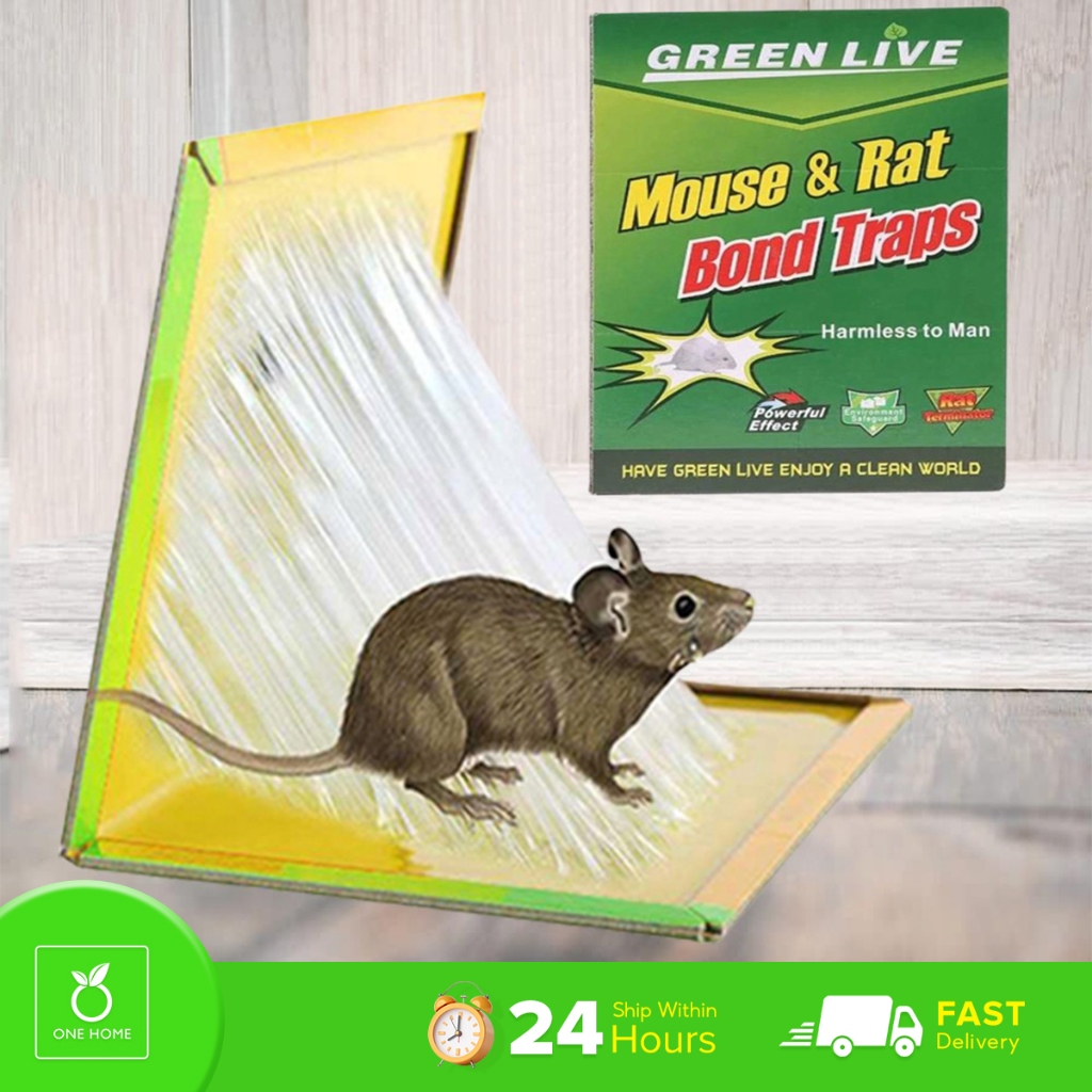 Mouse Sticker Trap Glue, Rat/Mice Traps Sticky Boards, Strongly ...