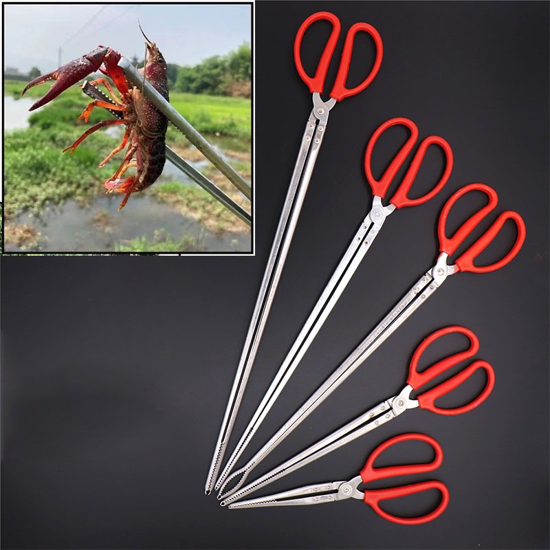 Stainless Steel Fish Clamp Eel Clamp Crab Clamp Loach Sea Driving Tool