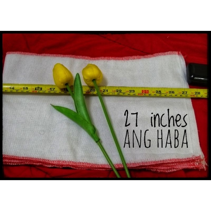 6/12 PCS BIRDS EYE LAMPIN(COLORED LINING) HINDI MALAPAD/PAHABA ANG CUT ...