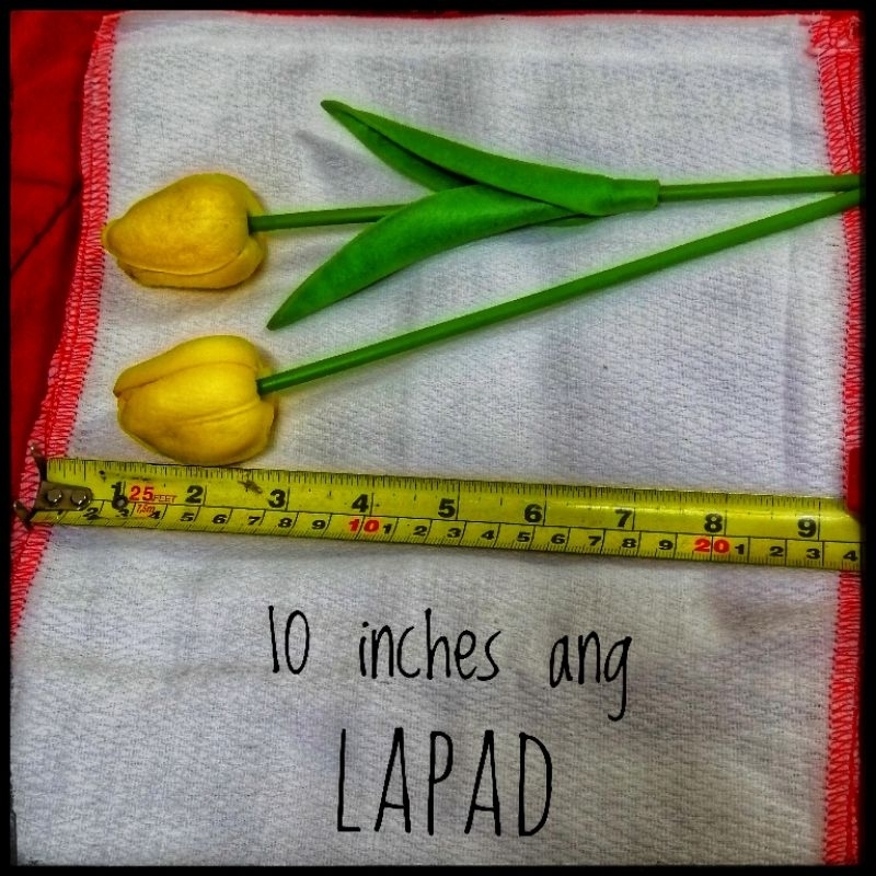 6/12 PCS BIRDS EYE LAMPIN(COLORED LINING) HINDI MALAPAD/PAHABA ANG CUT ...
