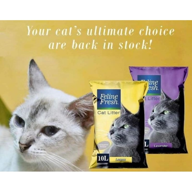FELINE FRESH CAT LITTER SAND 10LITER & 5 LITERS Shopee Philippines