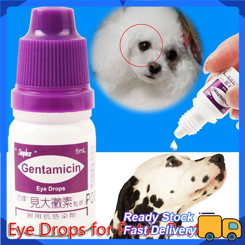 Eye Drops For Pets Cat and Dogs and Eye Infection Better than