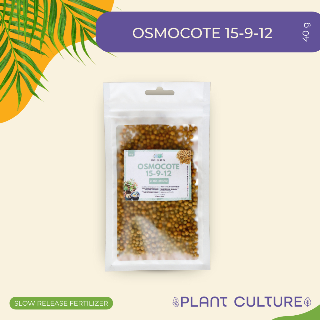 Osmocote Plus 15912 40g Best for Cactus, Succulents, Ornamental