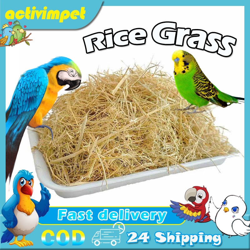 Bird's Nest Pad Material Natural Rice Grass Rice Straw Grass Hay for ...