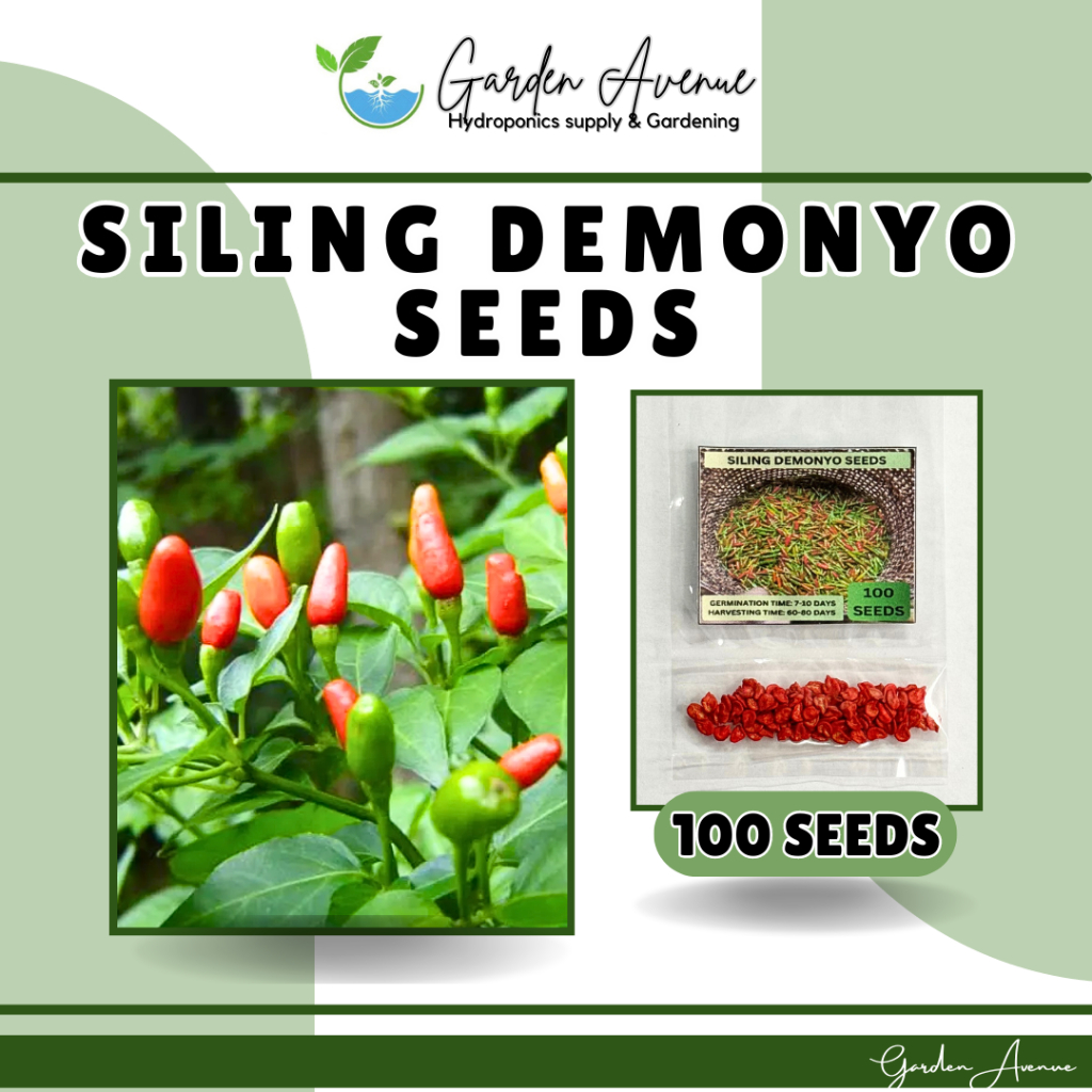 SILING DEMONYO SEEDS (100 SEEDS) - Very Hot/High Yield | Shopee Philippines