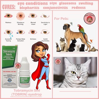 Tobramycin cats outlet conjunctivitis