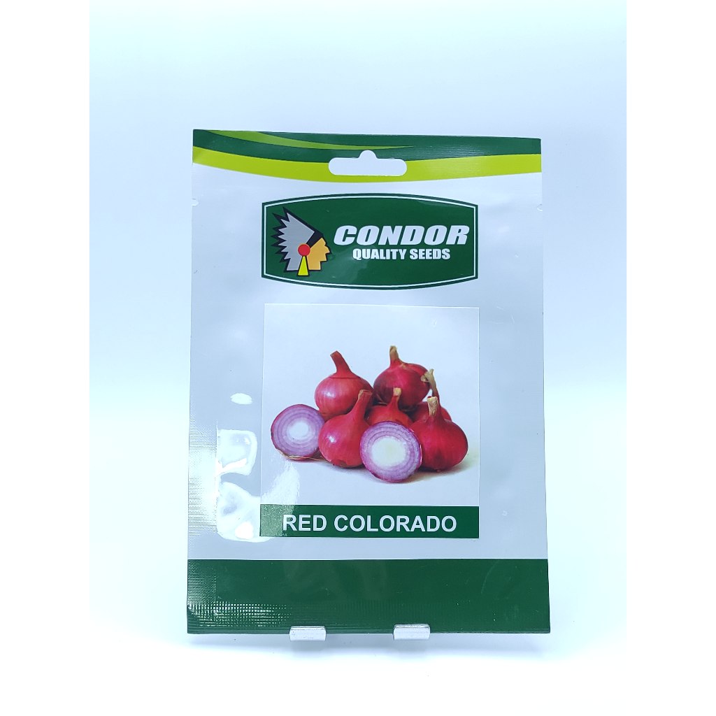CONDOR RED COLORADO RED ONION SEEDS (5 GRAMS) | Shopee Philippines
