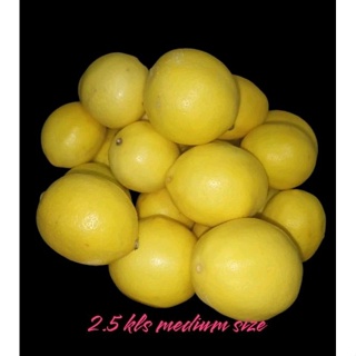 Dried Lemon Slice  Lush Fresh Handmade Cosmetics Philippines