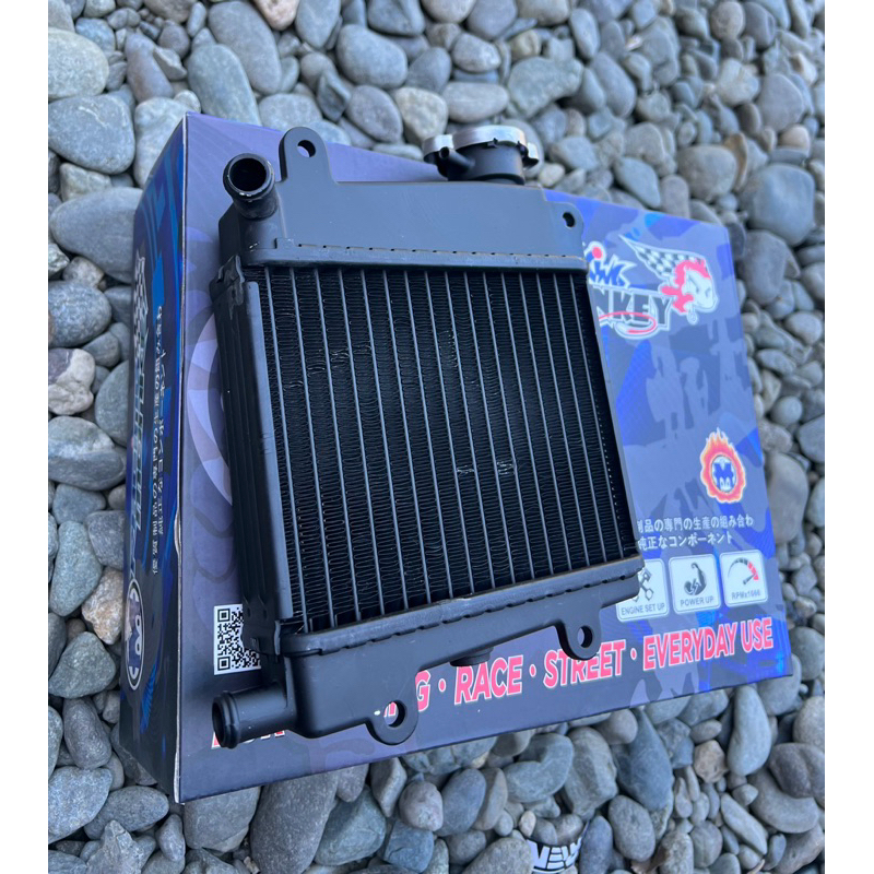 Radiator Nmax Aerox v1 v2 Racing monkey | Shopee Philippines