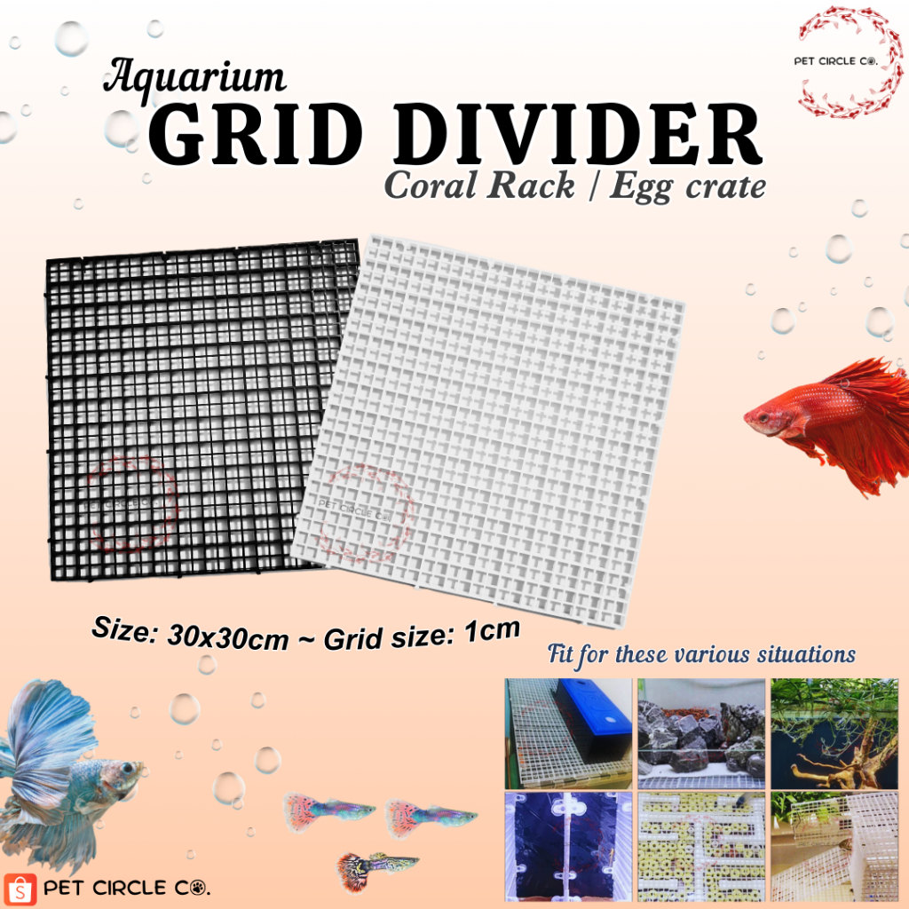 Aquarium Grid Divider Tray I Coral Rack Plastic Divider Egg Crate
