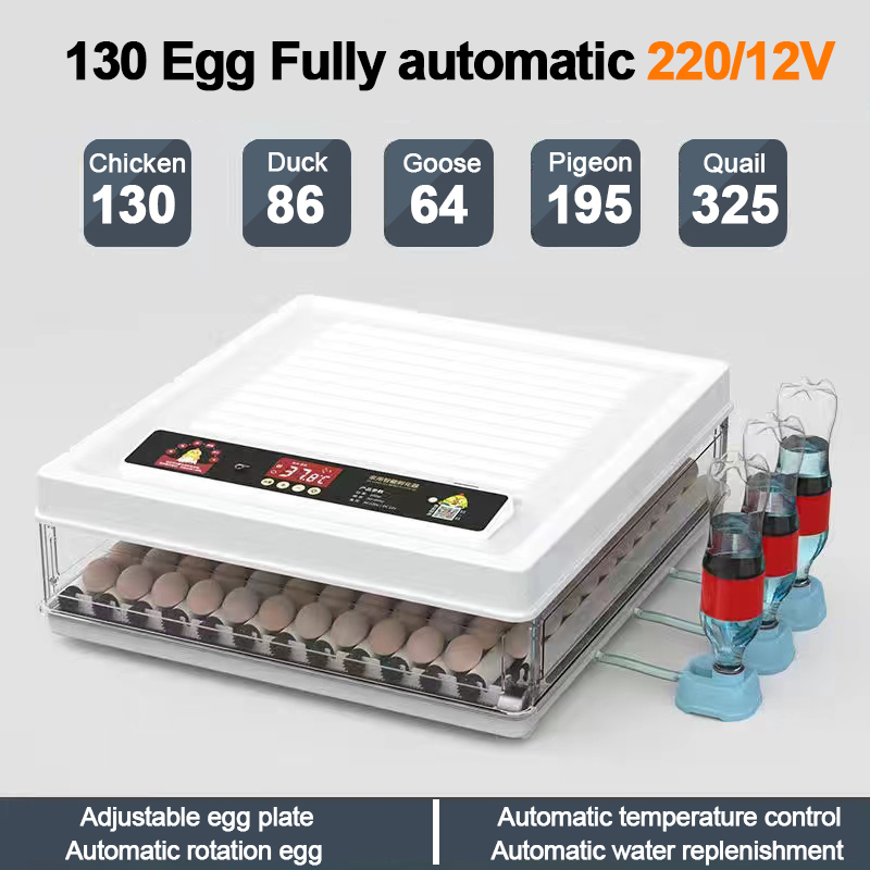 Wholesale Thermostat Incubators 2k