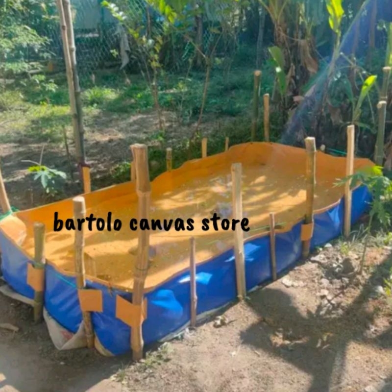 3x7x3ft AZOLLA POND FISH TANK ORIGINAL MARUYAMA LOWEST PRICE | Shopee ...