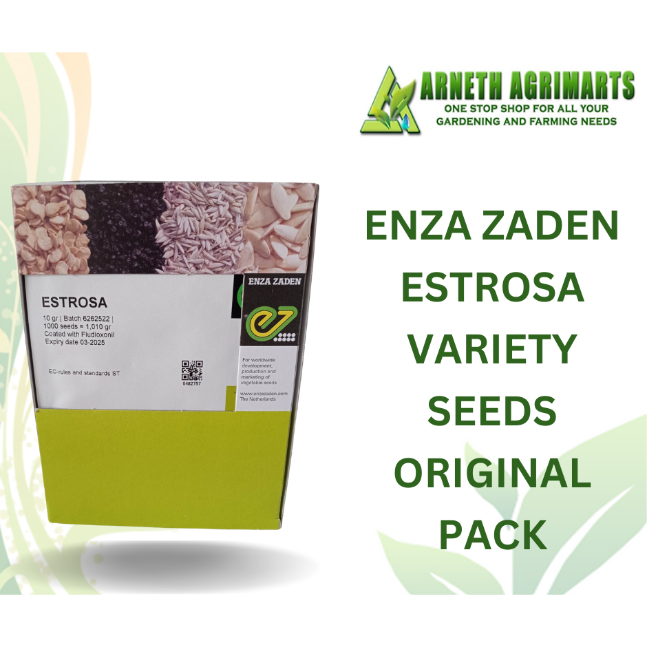 ESTROSA LOLLO BIONDA LETTUCE SEEDS BY ENZA ZADEN 10 GRAMS ORIGINAL PACK
