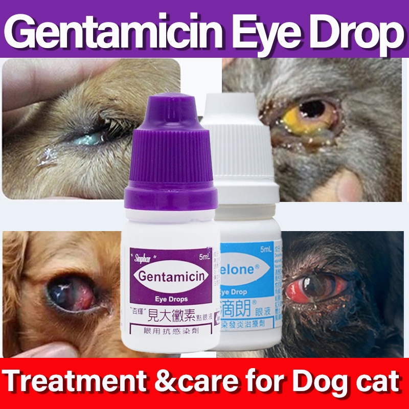 Gentamicin Eye Drops For Dogs Cats Treating Eye Infections 5 ML