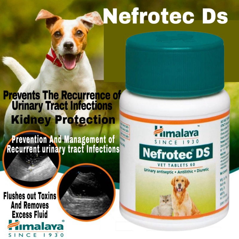 Sale! Himalaya Nefrotec For Dogs And Cats | Shopee Philippines