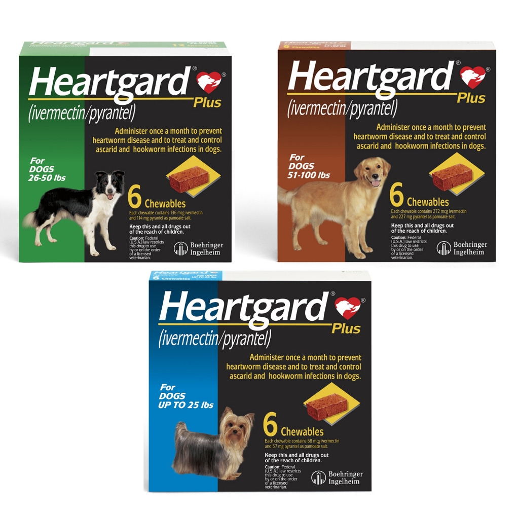 Heartgard Plus for Dogs | 1 Chewable/Sold per piece EXPIRATION DATE ...