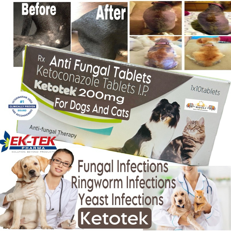 Ektek Pharma Ketotek Ketoconazole Fungal Infections Oral Tablets 10Tabs ...