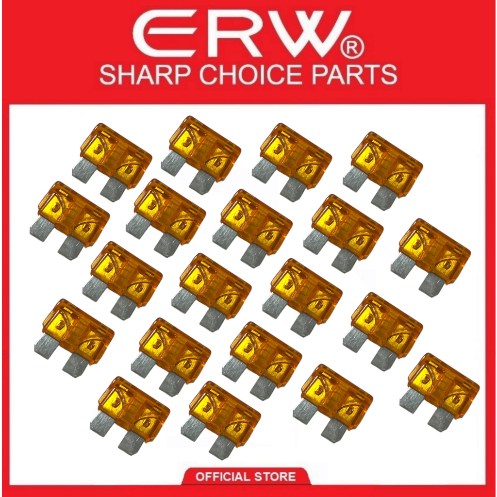 PLUG IN FUSE ORDINARY Replacement parts:.(5-AMP-O) 20PCS | Shopee ...