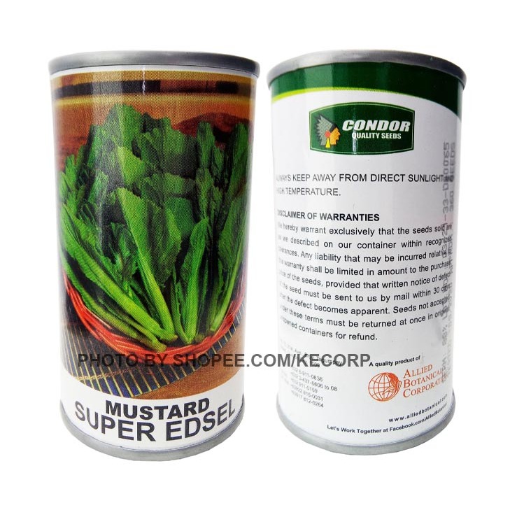 Condor Seeds Tin Can Mustard Super Edsel 42000 Seeds kcS11207 | Shopee ...