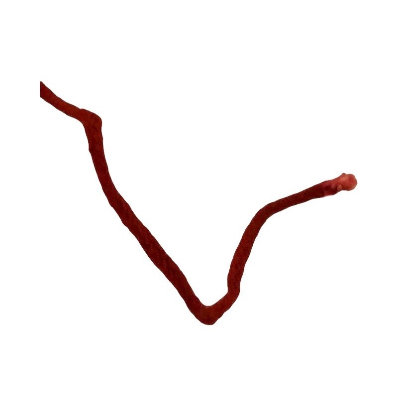 TNT Kalava Mauli Sacred Thread - Red - For Protection - From India ...