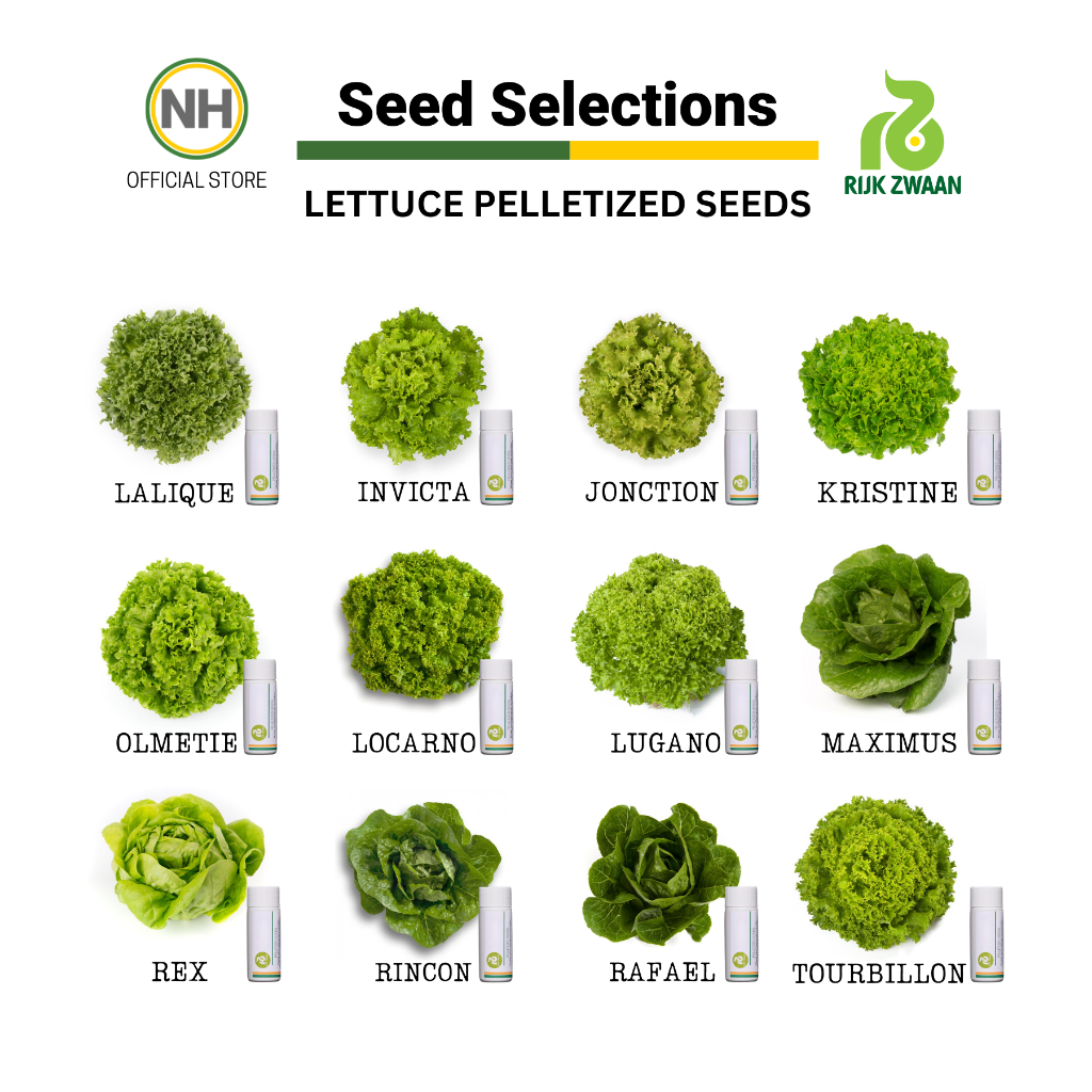 Rijk Zwaan Lettuce Pelletized 100 Seeds Nutrihydro Shopee Philippines 9267