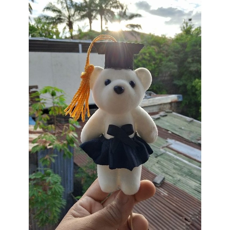 10 PCS GRADUATION CAP WITH TASSEL (HINDI KASAMA ANG BEAR) Shopee