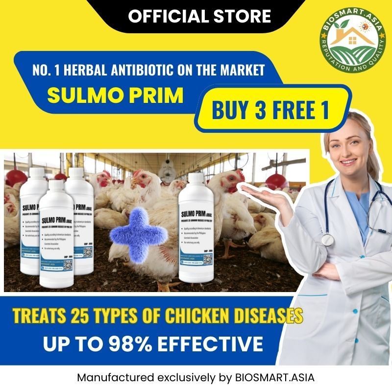 BUY 3 GET 1 FREE : SULMO - Special treatment for 25 common diseases in ...