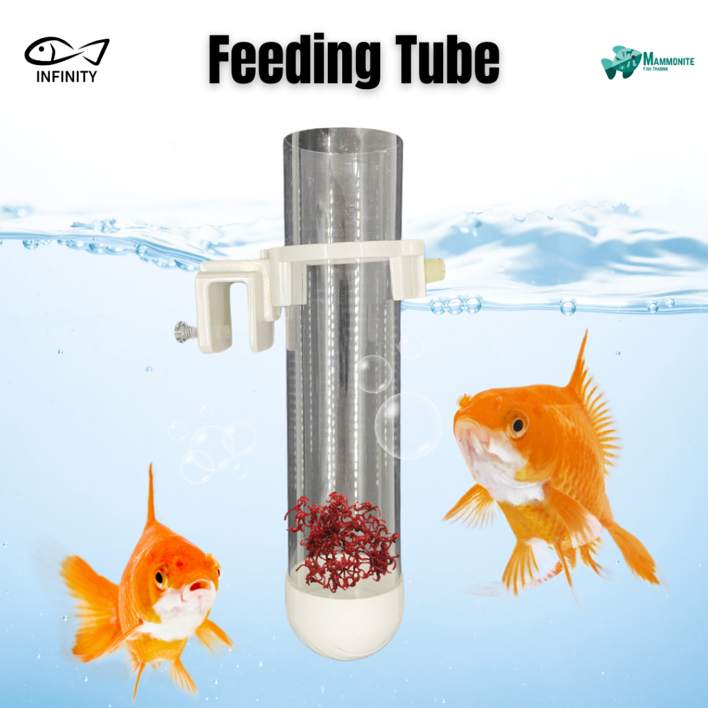 Infinity Fish Feeding Tube Tubifex Worm Feeds | Shopee Philippines