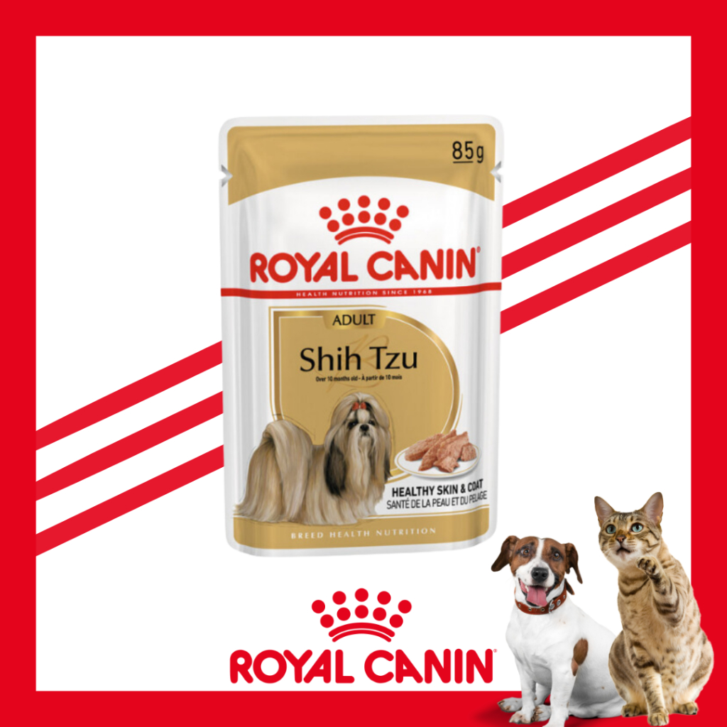 Royal Canin Adulte Shih Tzu pâtée | Bas prix | Large assortiment